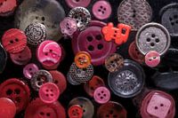 Met water besproeide, zwevende knopen boven zwart fluweel