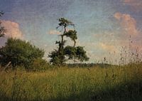 Postkarte aus der Vergangenheit