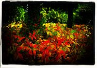 colours of autumn