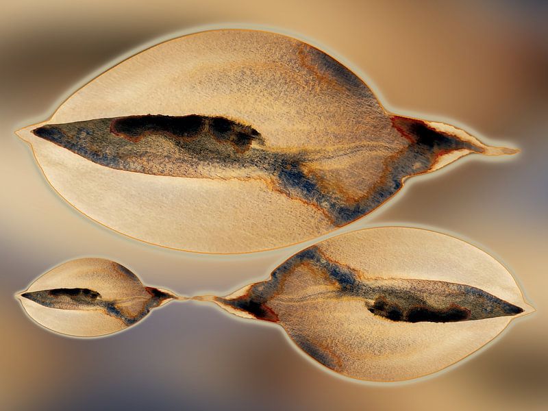 Tidal Drift Aqua 984 - Formes côtières organiques douces en sable chaud &amp;amp ; bleu brume de mer par Saskia Mensink PRINTS