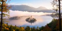 Een gouden herfstochtend in Bled - Slovenië