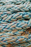 Pêche à la traîne sur le ss Rotterdam