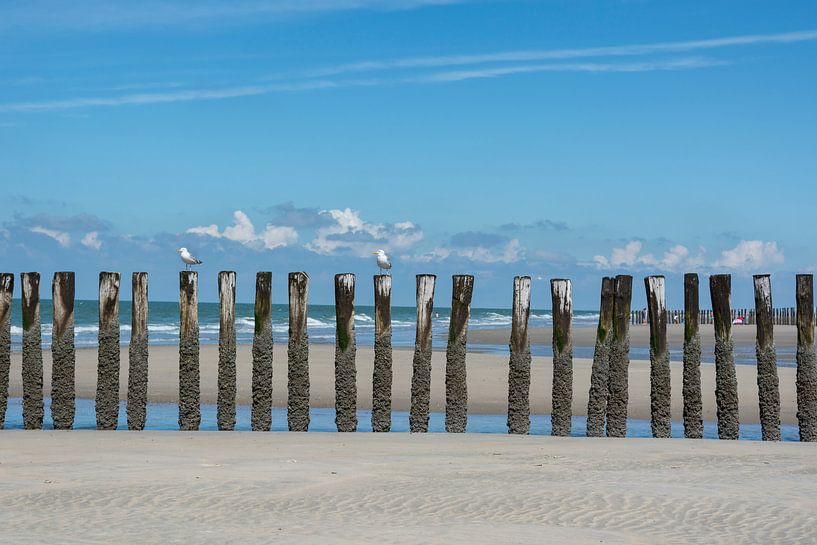 Auf einen Blick von Bernardine de Laat