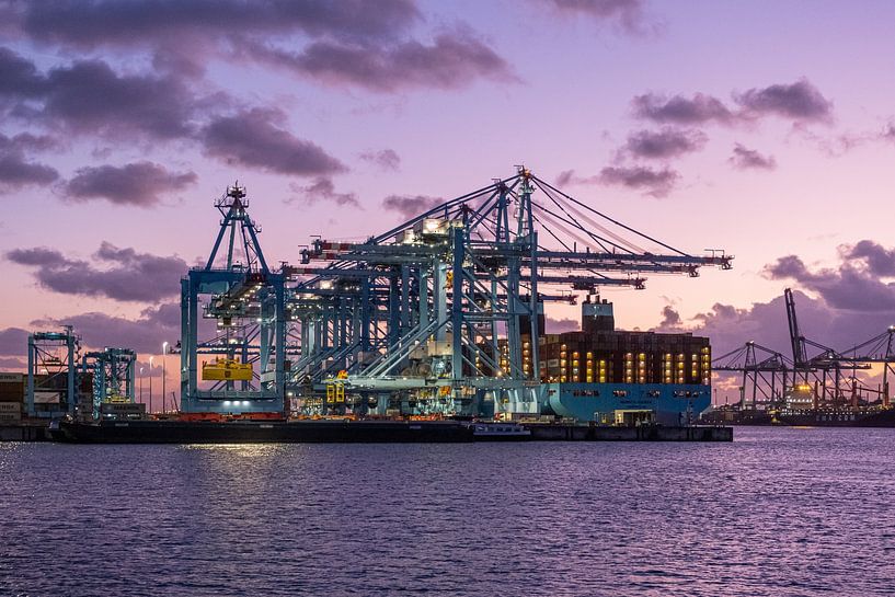 Containerterminal 6 van Nuance Beeld