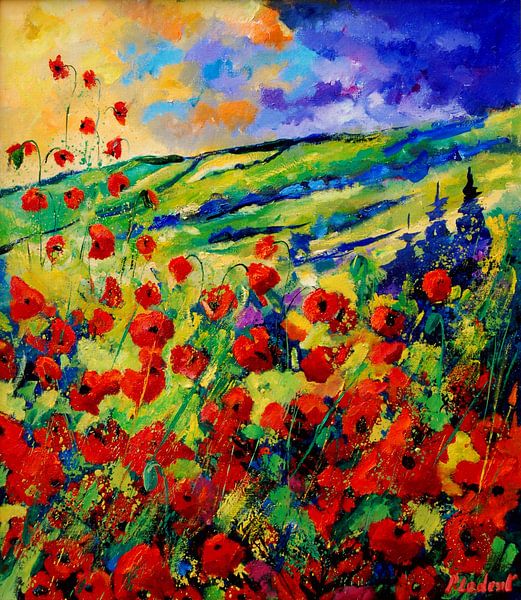 Red poppies 78 par pol ledent