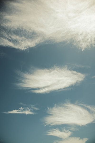 Dance of light by Stille Vertelling