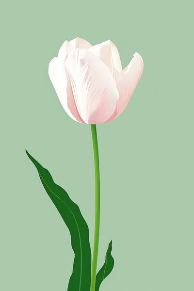 Hollandse Tulp by ByNoukk