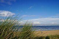 Casque herbe Breskens