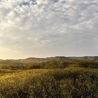 Noord-Hollands duingebied