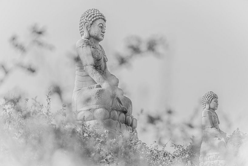 Bouddha assis en noir et blanc par Frans Scherpenisse