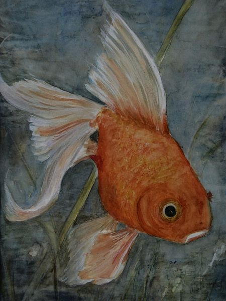Feng Shui -  Goldfish by Christine Nöhmeier