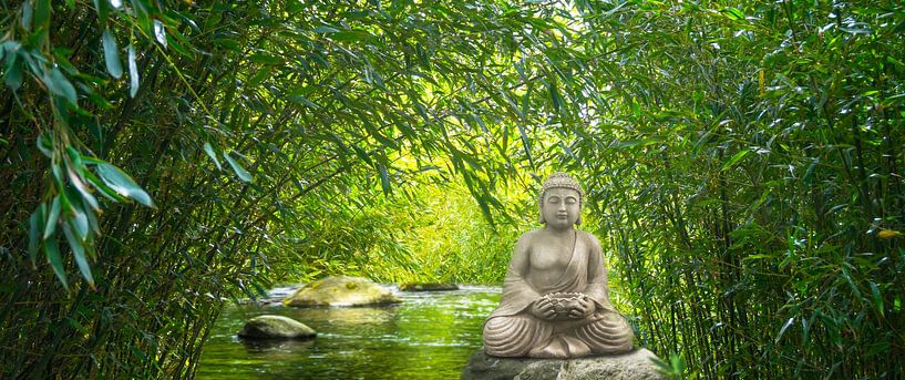 buddha im bambus wald von Dörte Bannasch