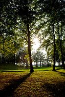 een mooie zomerse dag 