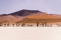 Rode zandduinen in Namibië