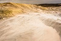 Dynamik eines Dünentals