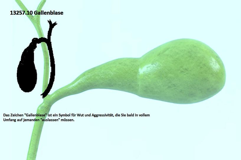 Gallbladder 13257.10 by Vladimir Zykunov