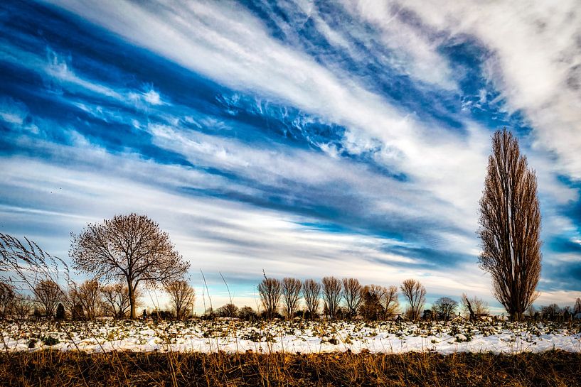 Winterlandschaft mit Baum und Schnee und Wolkenformation am Rhein bei Düsseldorf von Dieter Walther