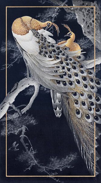 Two Peacocks in Night Blue von Marja van den Hurk