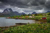 Nature on the Lofoten.