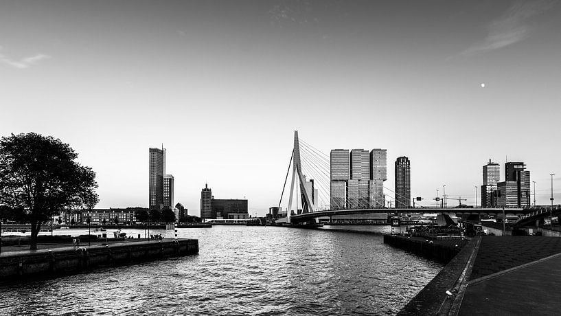 Skyline of Rotterdam. by Danny den Breejen