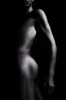 Light over the Silence