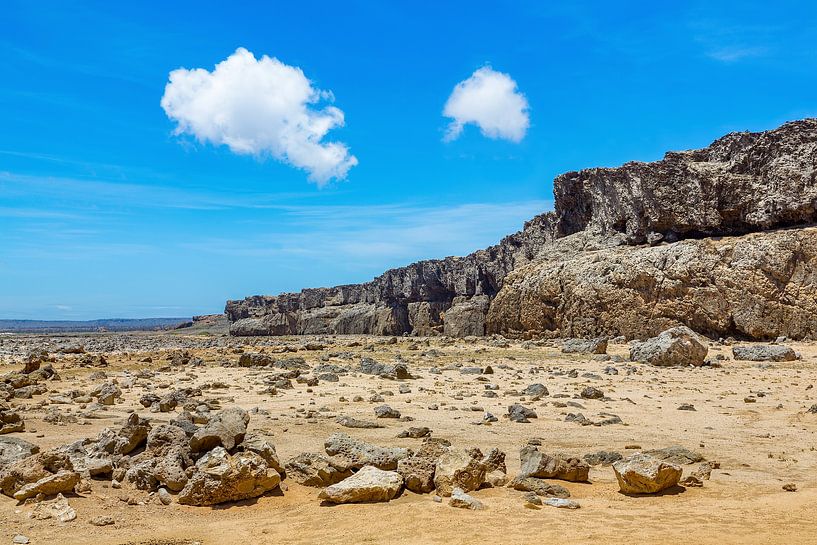 Landscape in nature reserve or national park Slagbaai on the island of Bonaire by Ben Schonewille