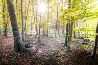 Ein magischer Moment