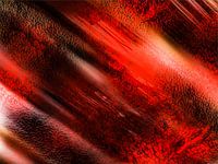 "Rote Drachenhaut" 2019