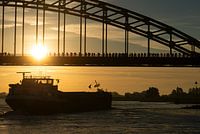 Viertägiger Start 2014, 2