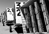 Industrielle Bienenzucht