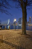 Silent night in Rotterdam