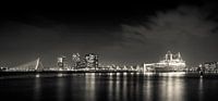 Rotterdam by night panorama