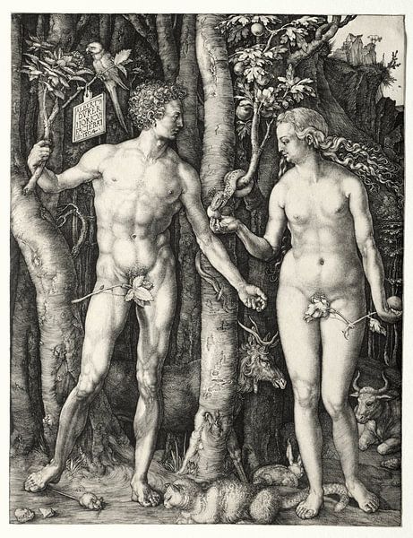 Adam et Ève, Albrecht Dürer par De Canon