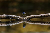 What are you looking at?