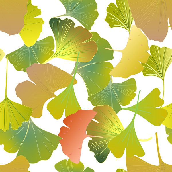Ginkgo en octobre par JipvanZeist