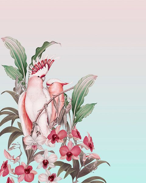 In the tropical garden by Andrea Haase