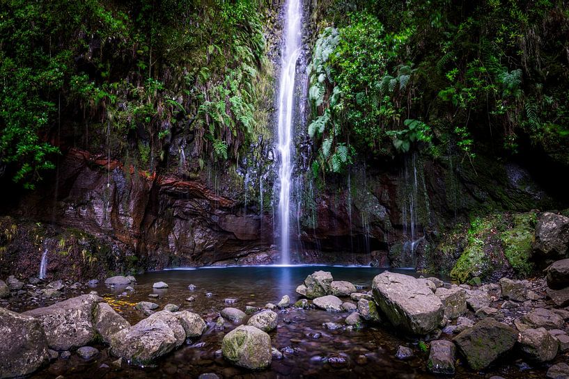 Levada das 25 Fontes, Madeira (1) von Luc van der Krabben