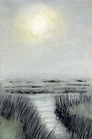 Paysage de prairie humide et brumeuse