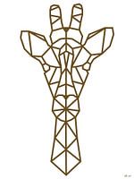 Abstract head of a Giraffe