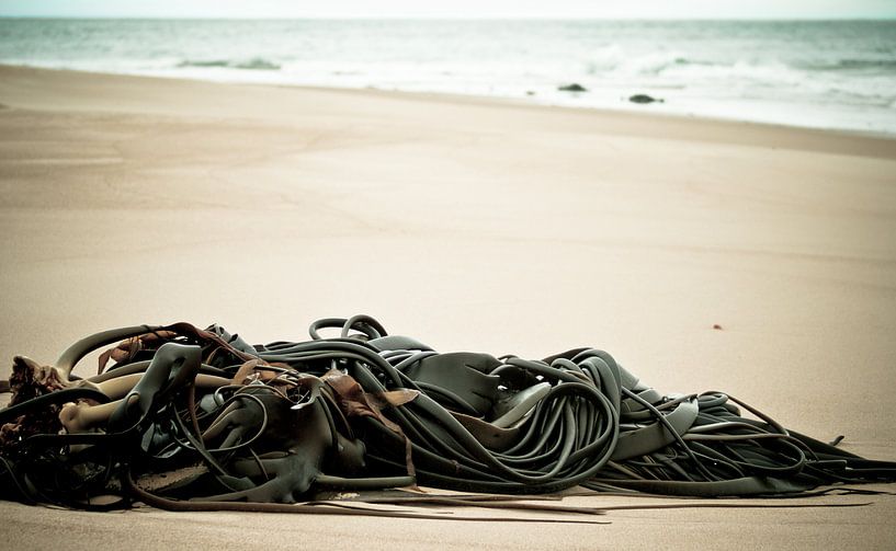 Neuseeland von Pim Michels