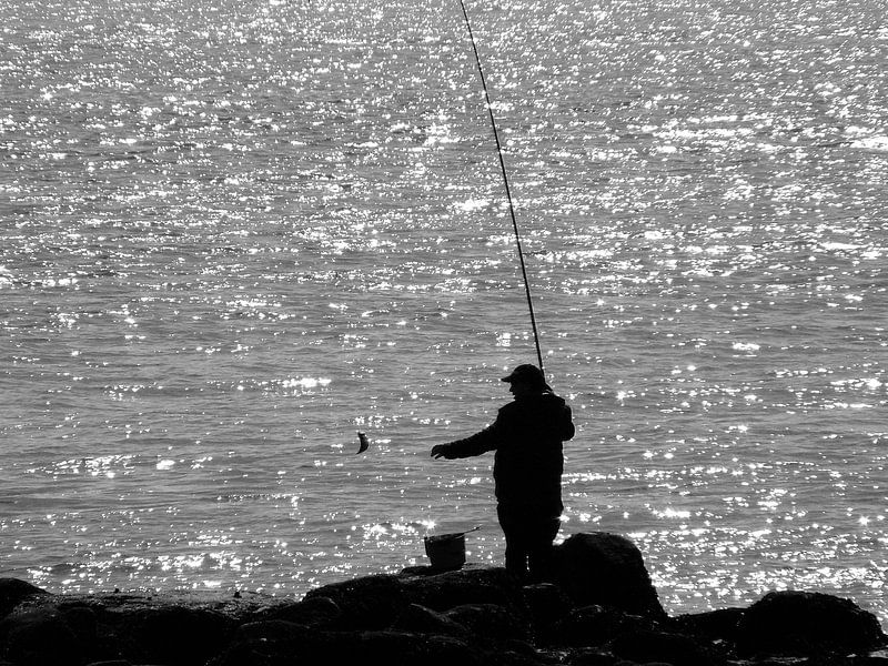 Fisch von Hans Heemsbergen