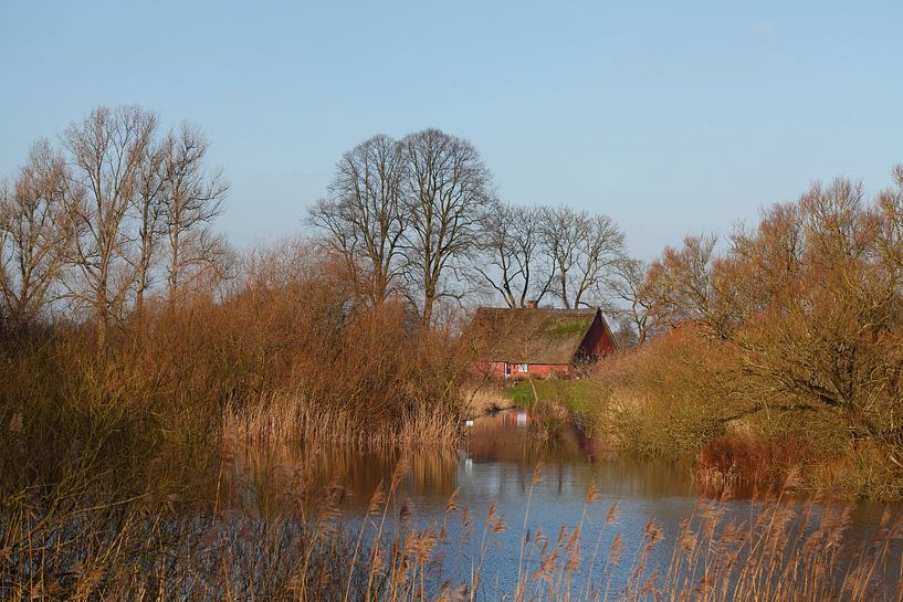 Dyke by Torsten Krüger