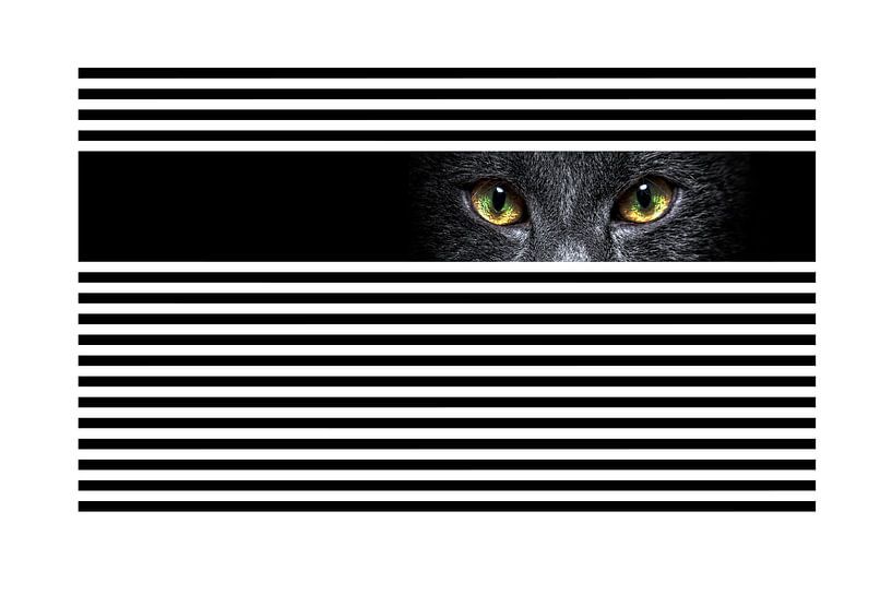 Peek par Harry Hadders Design