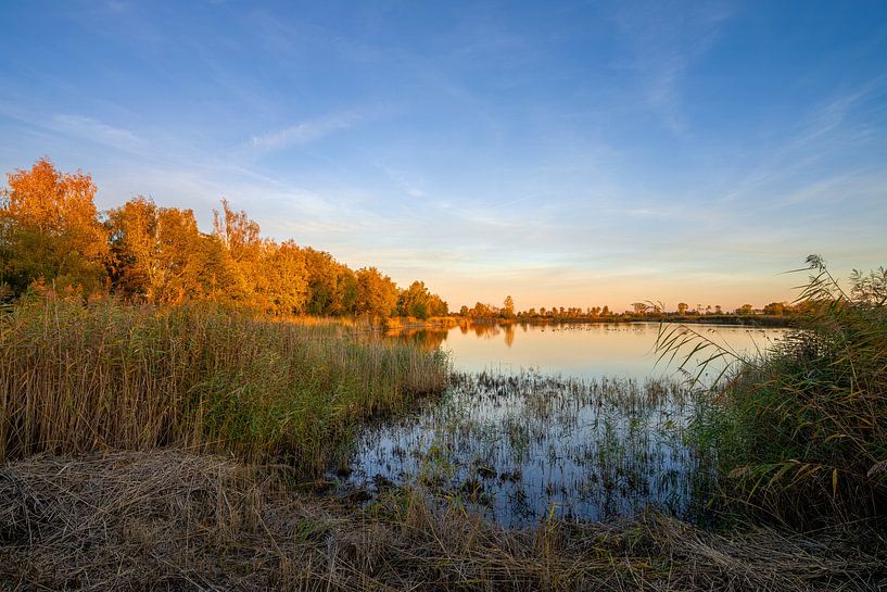 Teichland Linum, Fehrbellin, Brandenburg, Deutschland von Alexander Ludwig
