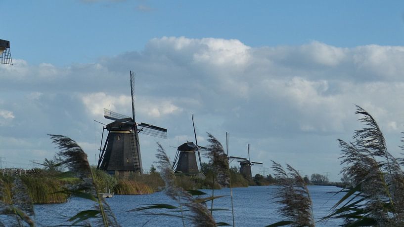 WIndmolens van Kinderdijk by Gijs van Veldhuizen