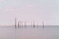 Netze / Fallen Aal in der Nordsee