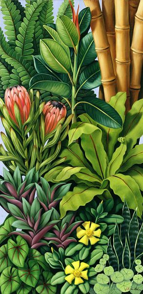 Foliage III by Catherine Abel