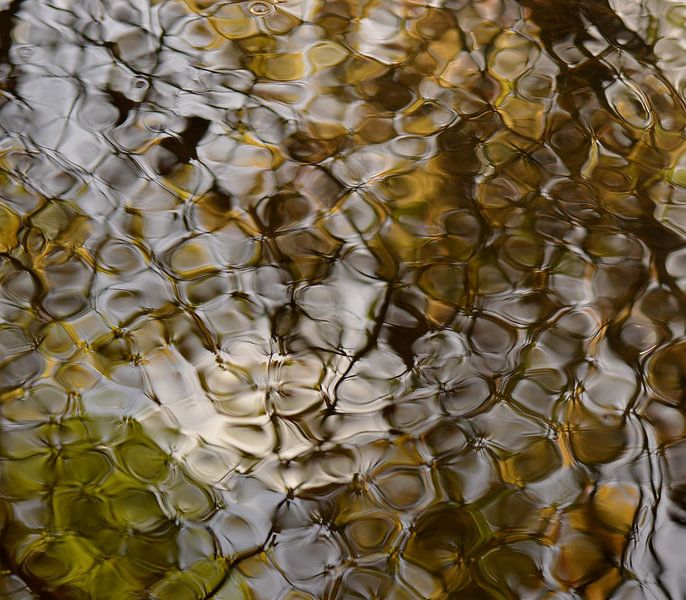 Wind door het water by Marian Steenbergen