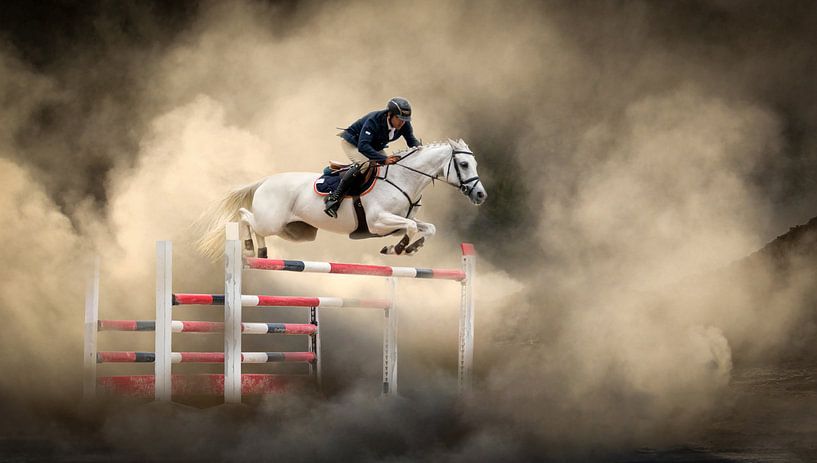 Weißes Pferd von Arif Ünsal