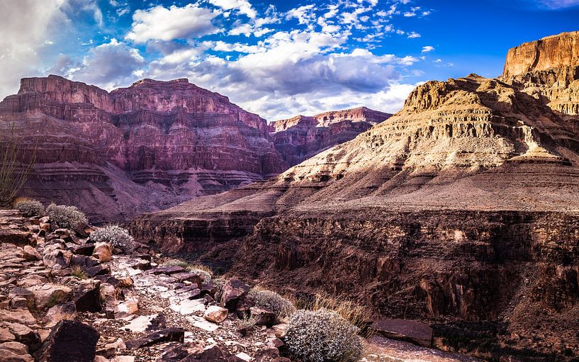 Grand Canyon Arizona États-Unis. Un beau morceau de nature par Retinas images